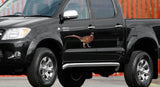 Pheasant Country Animal Bird Car Pickup Camper Sticker Decal Graphic Hunting